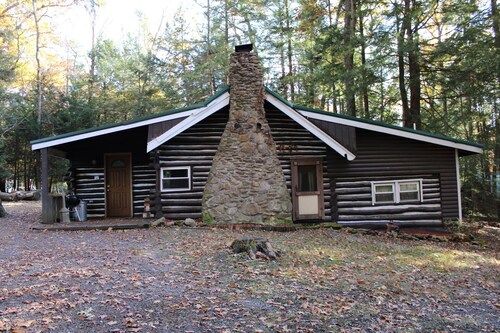 Cabin fit for a Family