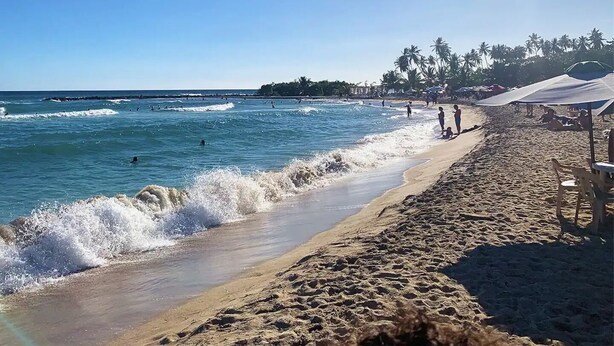A beach with waves, people, and umbrellas.