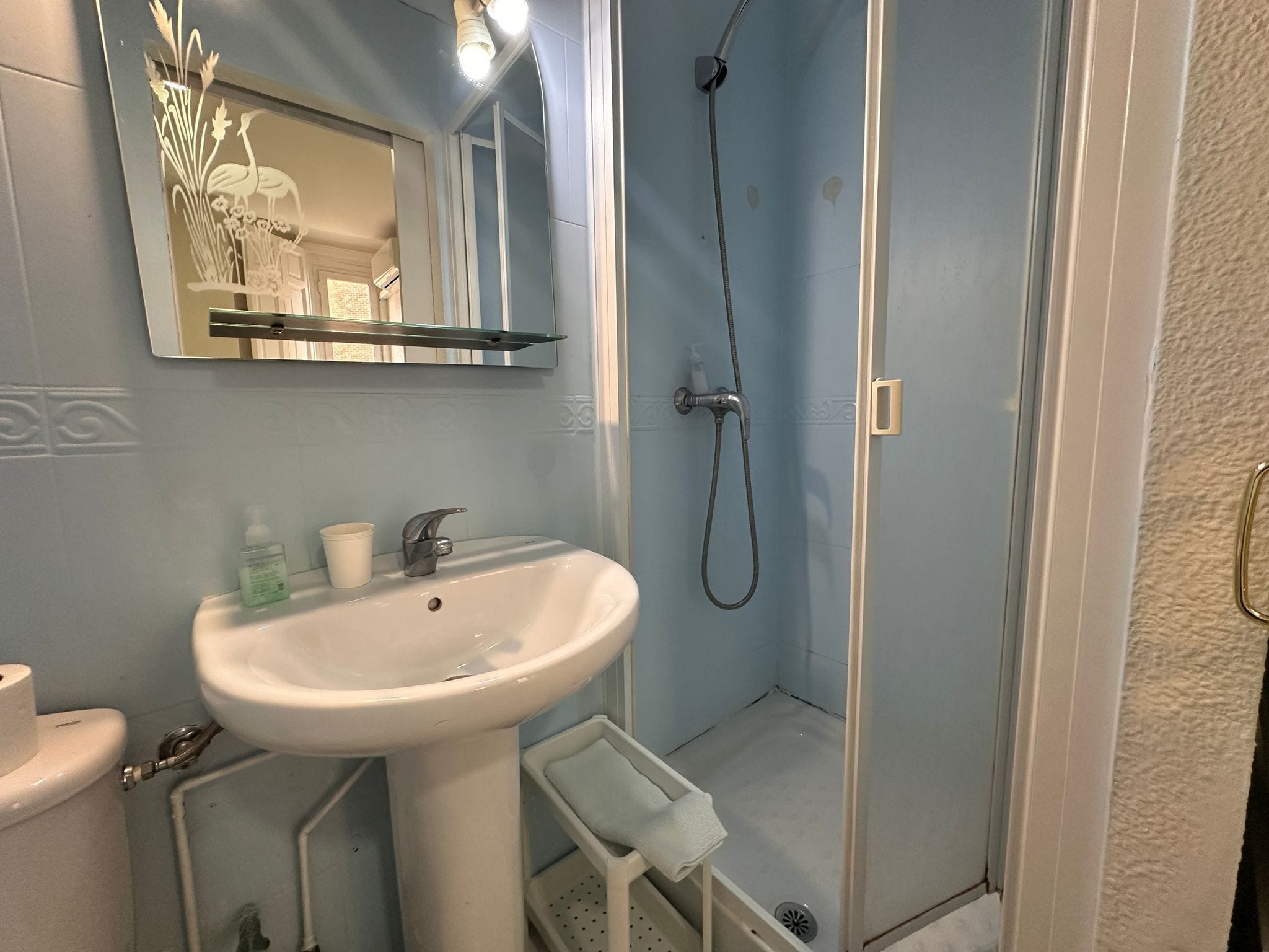 A bathroom with a sink, mirror, shower, and toilet.