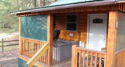 Quaint Couples Cabin ~ NO PETS