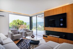 Una Smart TV, una chimenea, videojuegos, libros