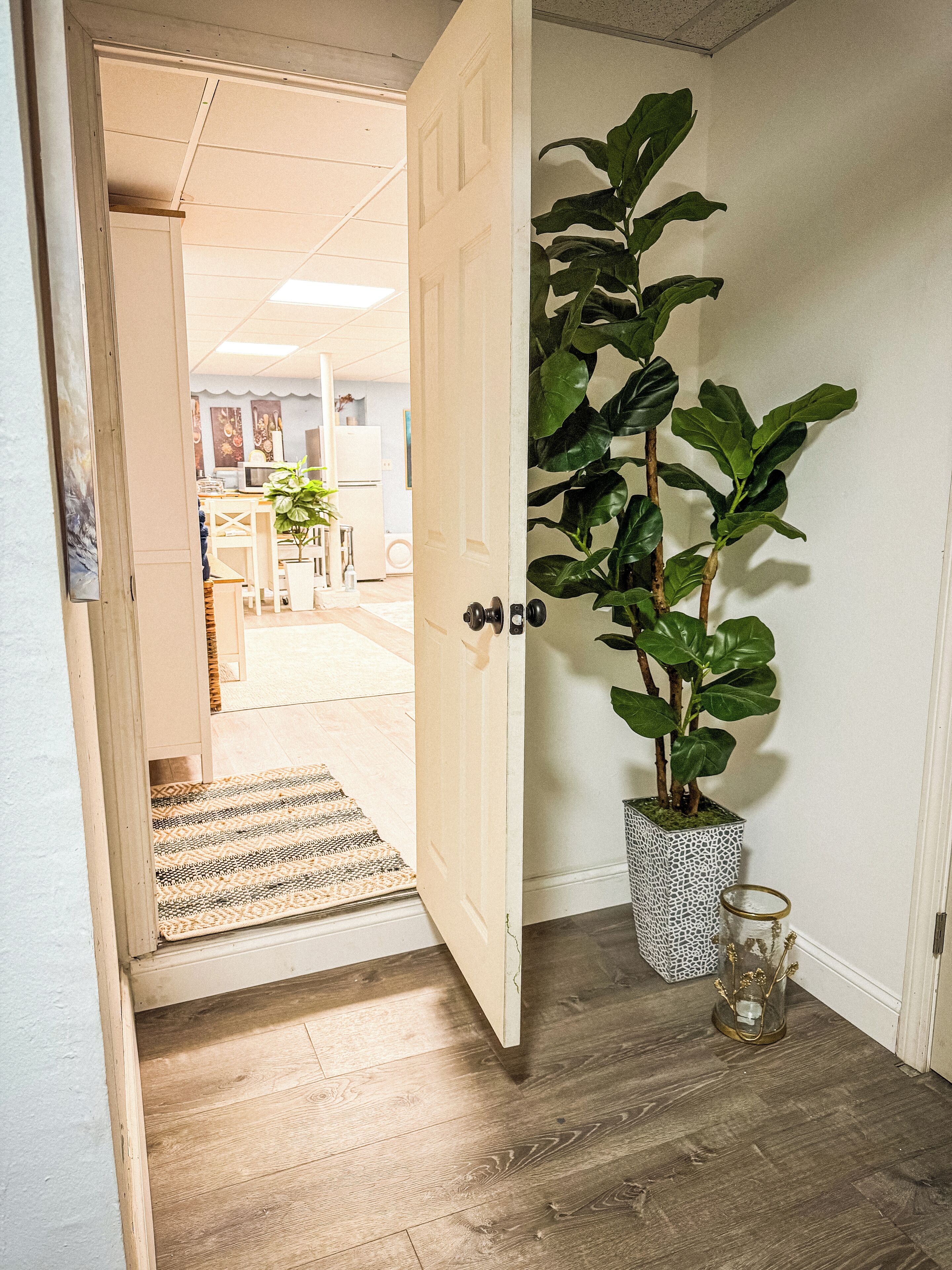 A hallway with a wooden floor, a potted plant, and a door leading to another room.