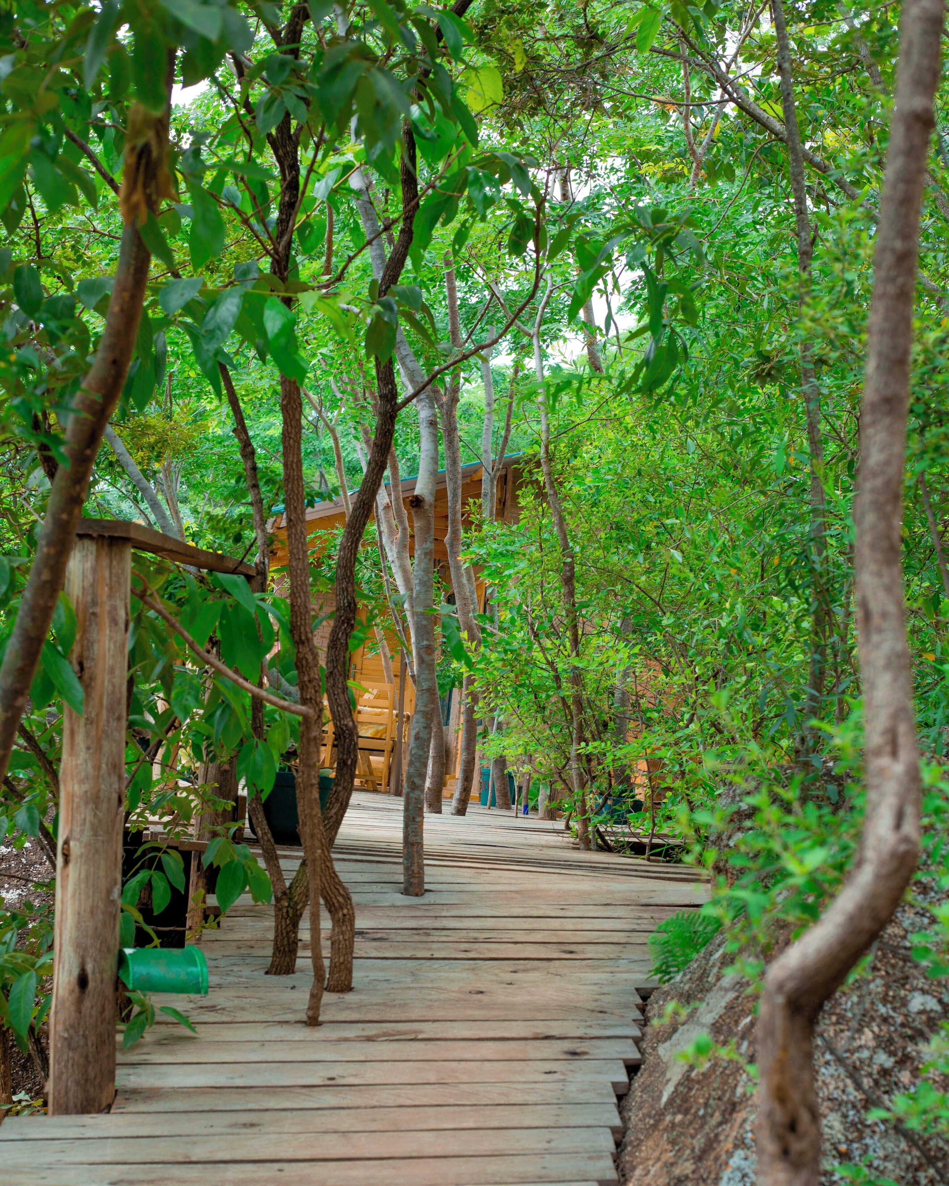 家庭套房, 山景 | 露台