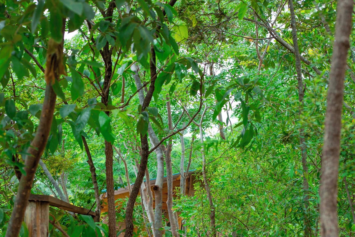 Suite Familiale, vue montagne | Terrasse/Patio