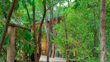 Family Suite, Mountain View | Terrace/patio