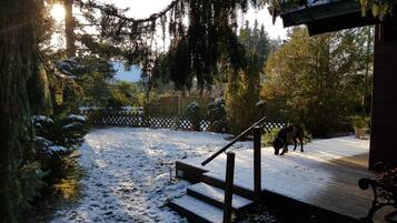 House | Property grounds