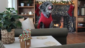 Ein gemütliches Wohnzimmer mit Kamin, einem Hund mit rotem Pullover und einem Lebkuchenhaus auf einem Tisch.