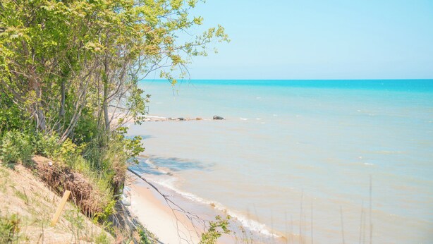 Ein Strand mit klarem türkisblauem Wasser, sandigem Ufer und dichtem Grün.