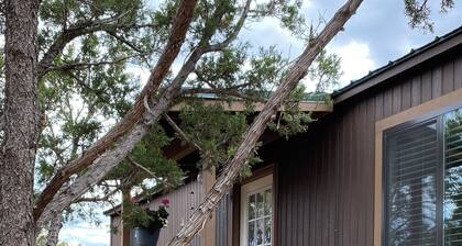 Mountain Wellness Retreat with Sauna