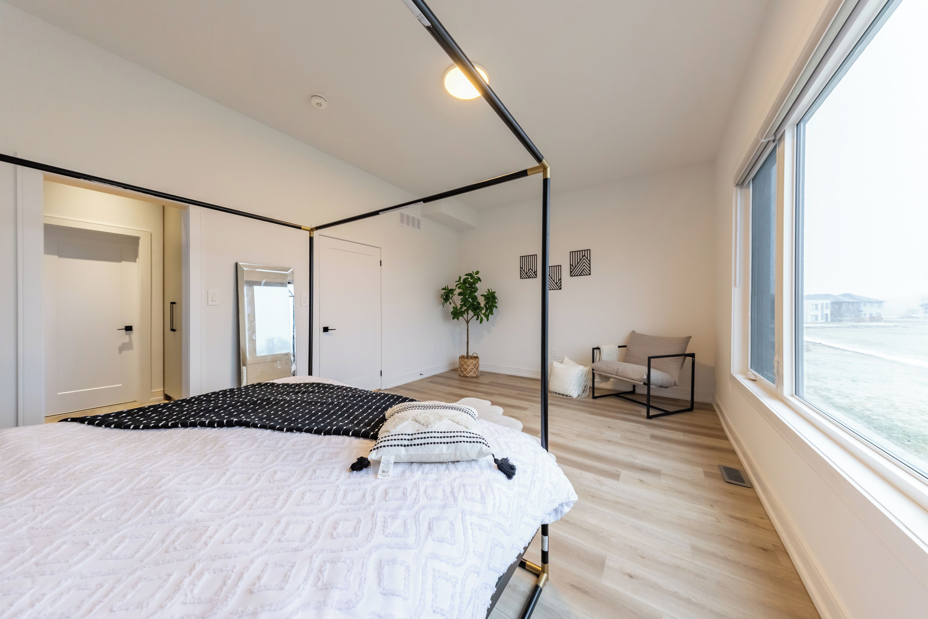 Une chambre à coucher moderne avec un lit, une fenêtre, une plante et une chaise.