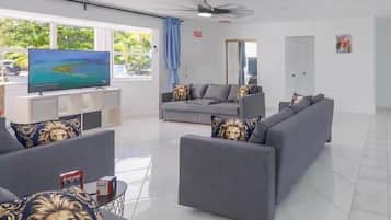 Smart-TV, Arbeitsbereiche