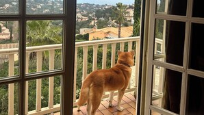 En hund står på en balkon med udsigt over en kystby.