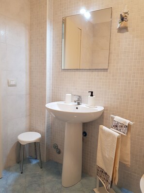 Shower, hair dryer, bidet, towels