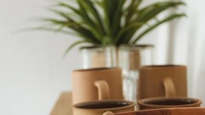 Une table en bois, avec une plante et deux tasses en céramique.