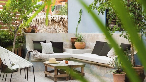 Un espace extérieur accueillant, aménagé avec un canapé blanc, une table en bois et diverses plantes en pot.