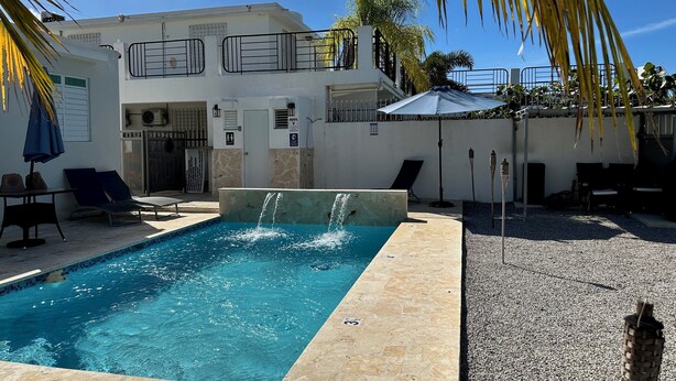 A swimming pool with a stone border, lounge chairs, and a palm tree.