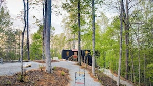 A forested area with a gravel path leading to a cabin. - Eagle Nest Cabin B at Walterfalls – Upstate SC (Six Mile)
