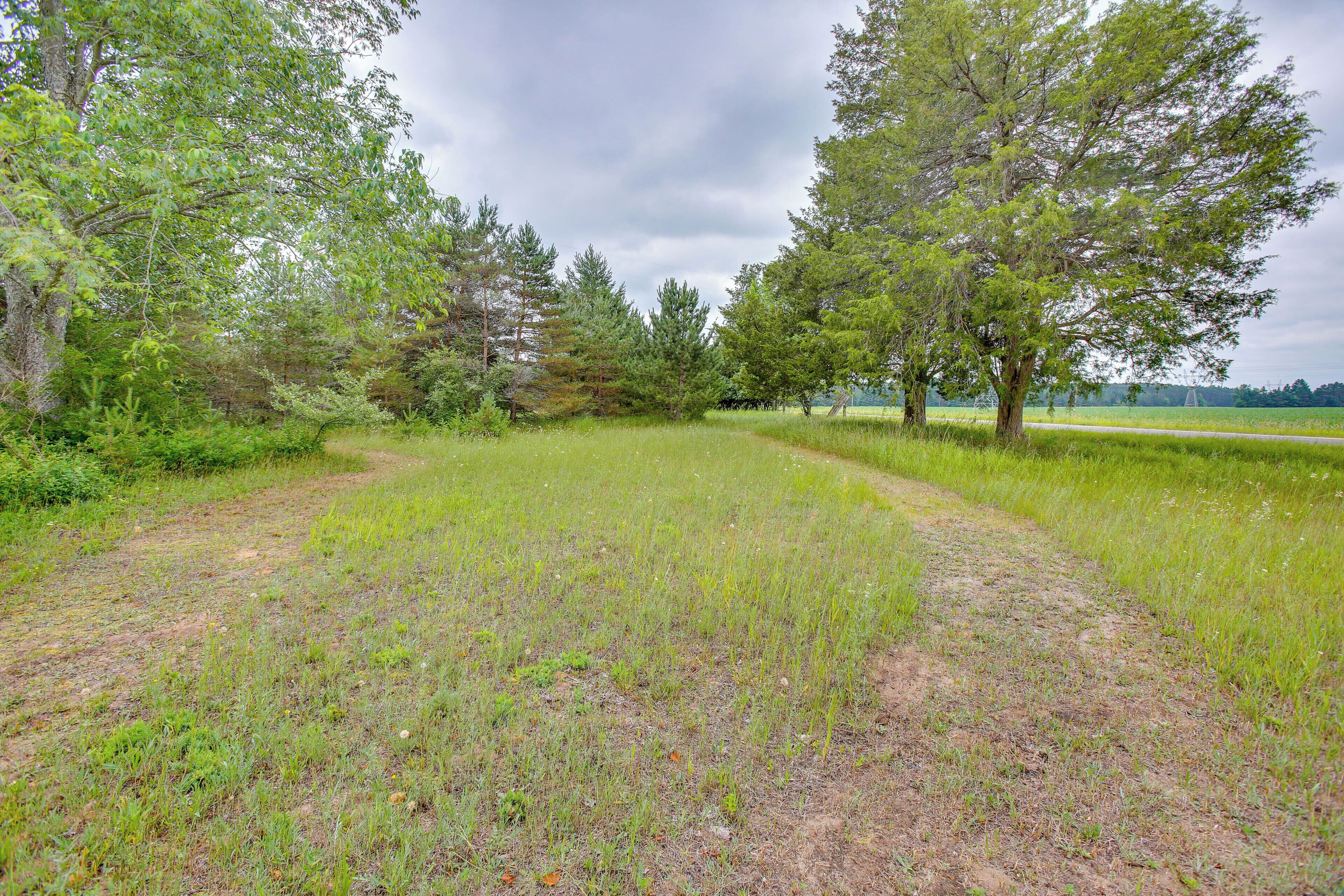 A grassy field with trees and a path.