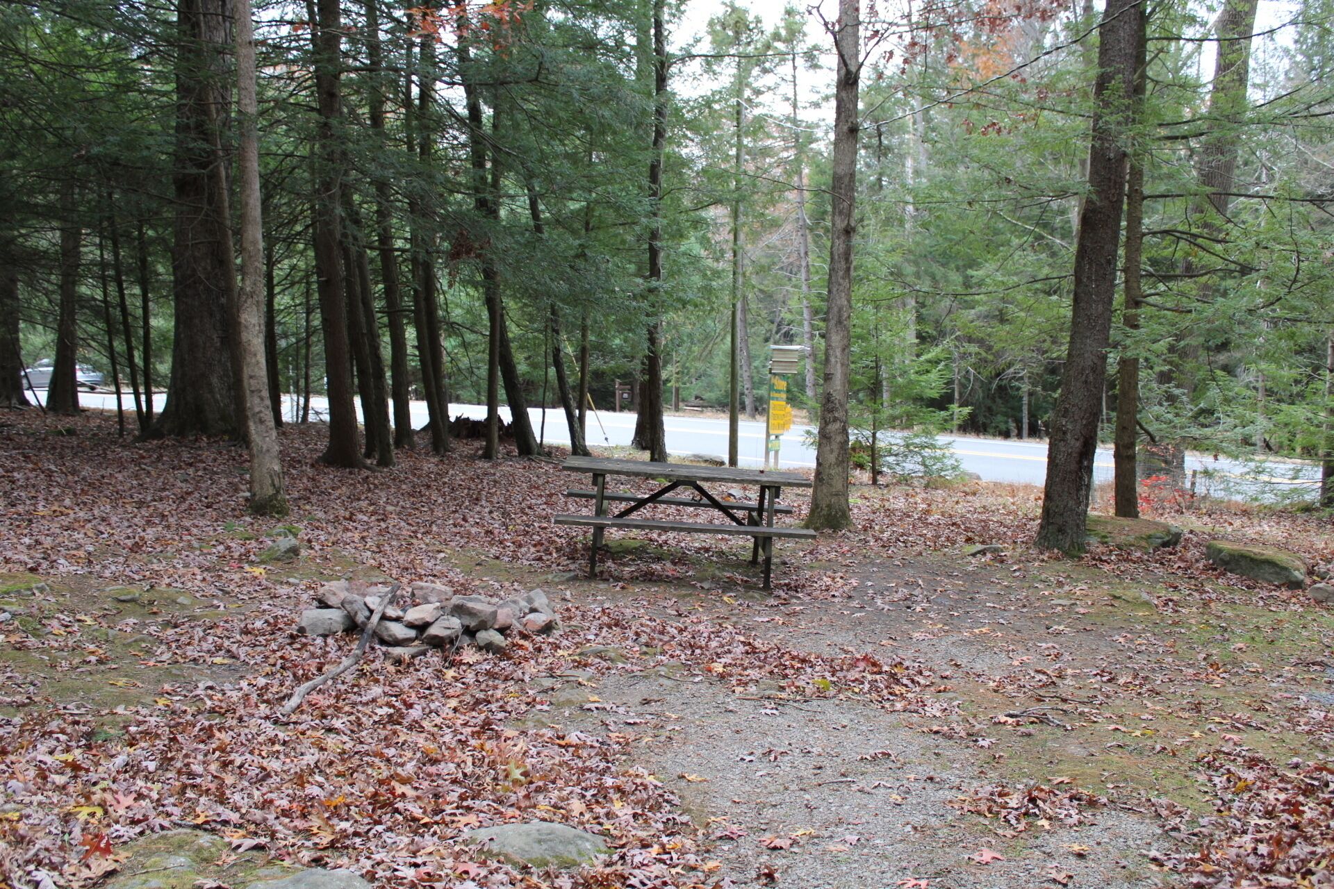 Zona boscosa con una mesa de picnic y rocas al frente.