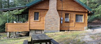 Spacious Log Cabin with Fireplace
