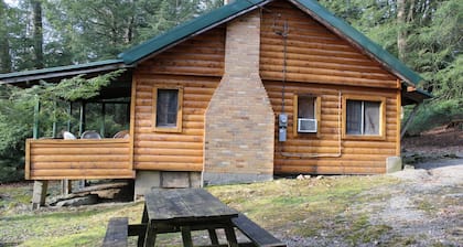 Spacious Log Cabin with Fireplace
