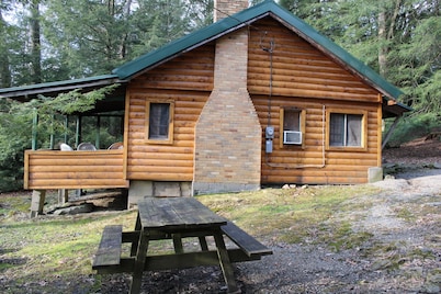 Spacious Log Cabin with Fireplace