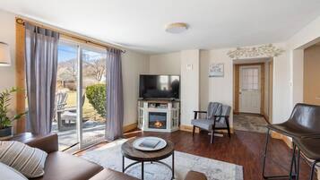 Smart TV, fireplace, books, music library