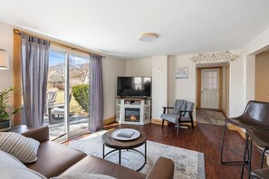 Smart TV, fireplace, books, music library