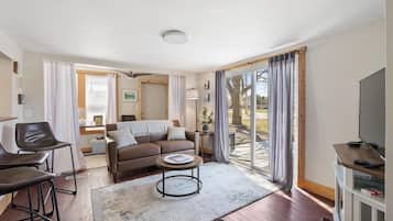 Smart TV, fireplace, books, music library