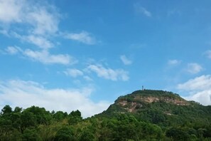 Un colle con cielo sereno e fitta vegetazione alla base.