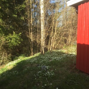 Overnattingsstedets uteområder