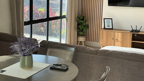 Um quarto com sofá, uma mesinha com um vaso, uma planta em vaso, um armário de madeira e uma TV fixada na parede.