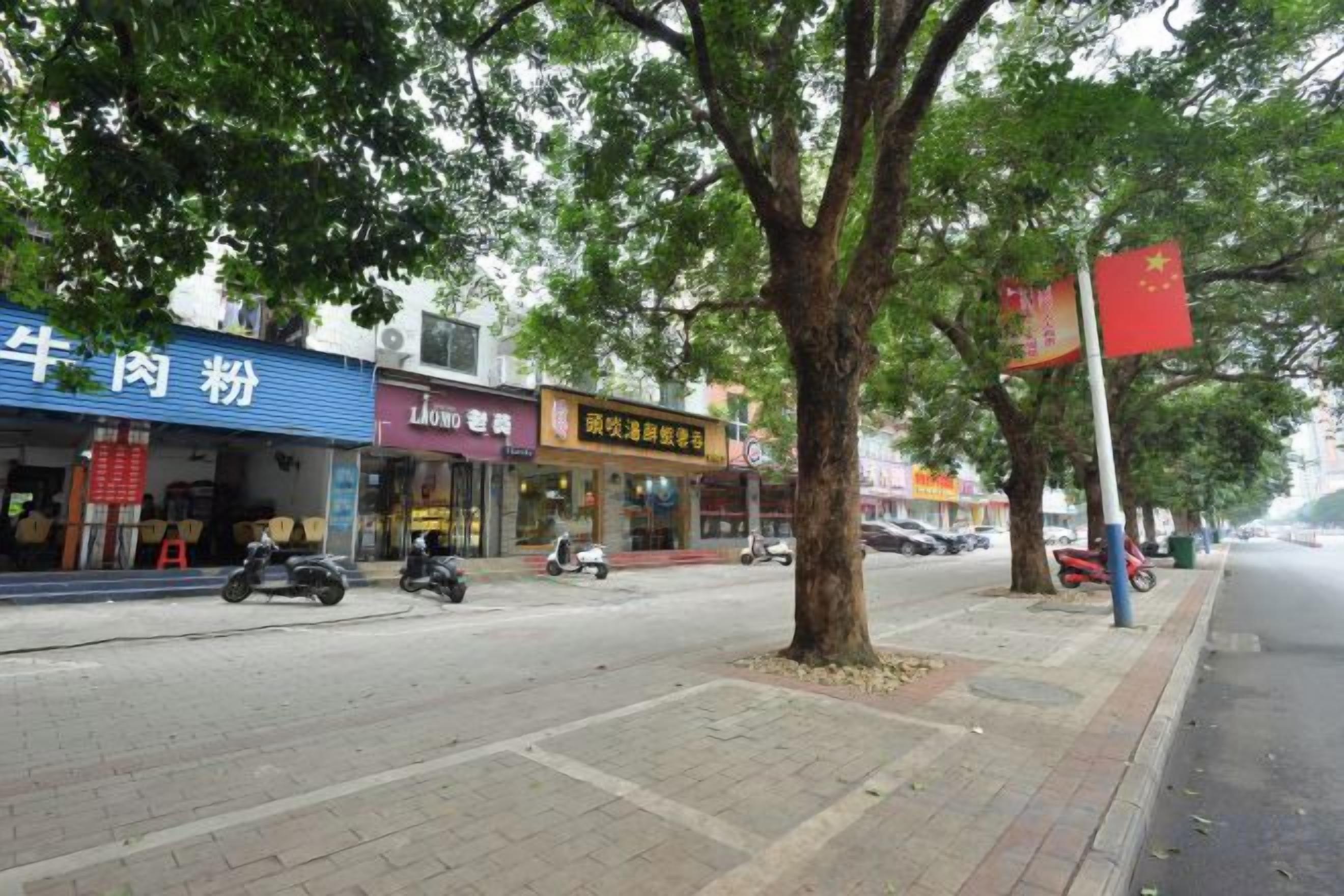 Una calle con tiendas, un árbol y una bandera.