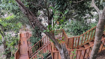 Área da propriedade