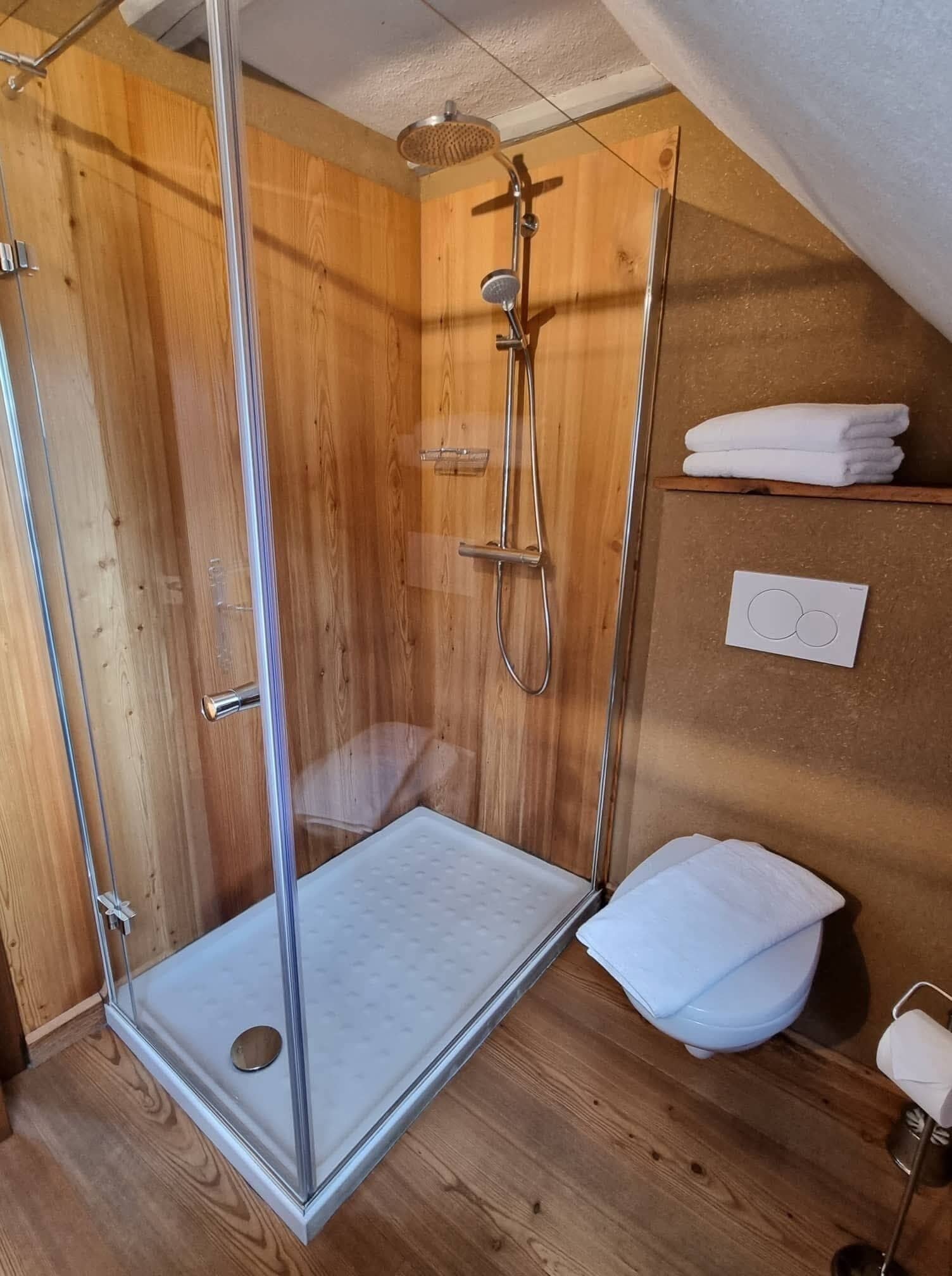Cabina de ducha con puerta de vidrio, un inodoro blanco y un perchero para toallas.