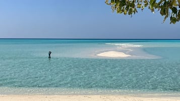 Gần bãi biển, cát trắng, xe đưa đón bãi biển