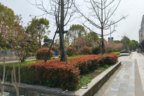 A landscaped area with trees and shrubs, a paved walkway, and a building in the background.