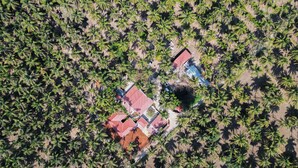 An aerial view of a property with multiple buildings surrounded by palm trees. - Ibex Resorts Coimbatore Kakarala (Coimbatore)
