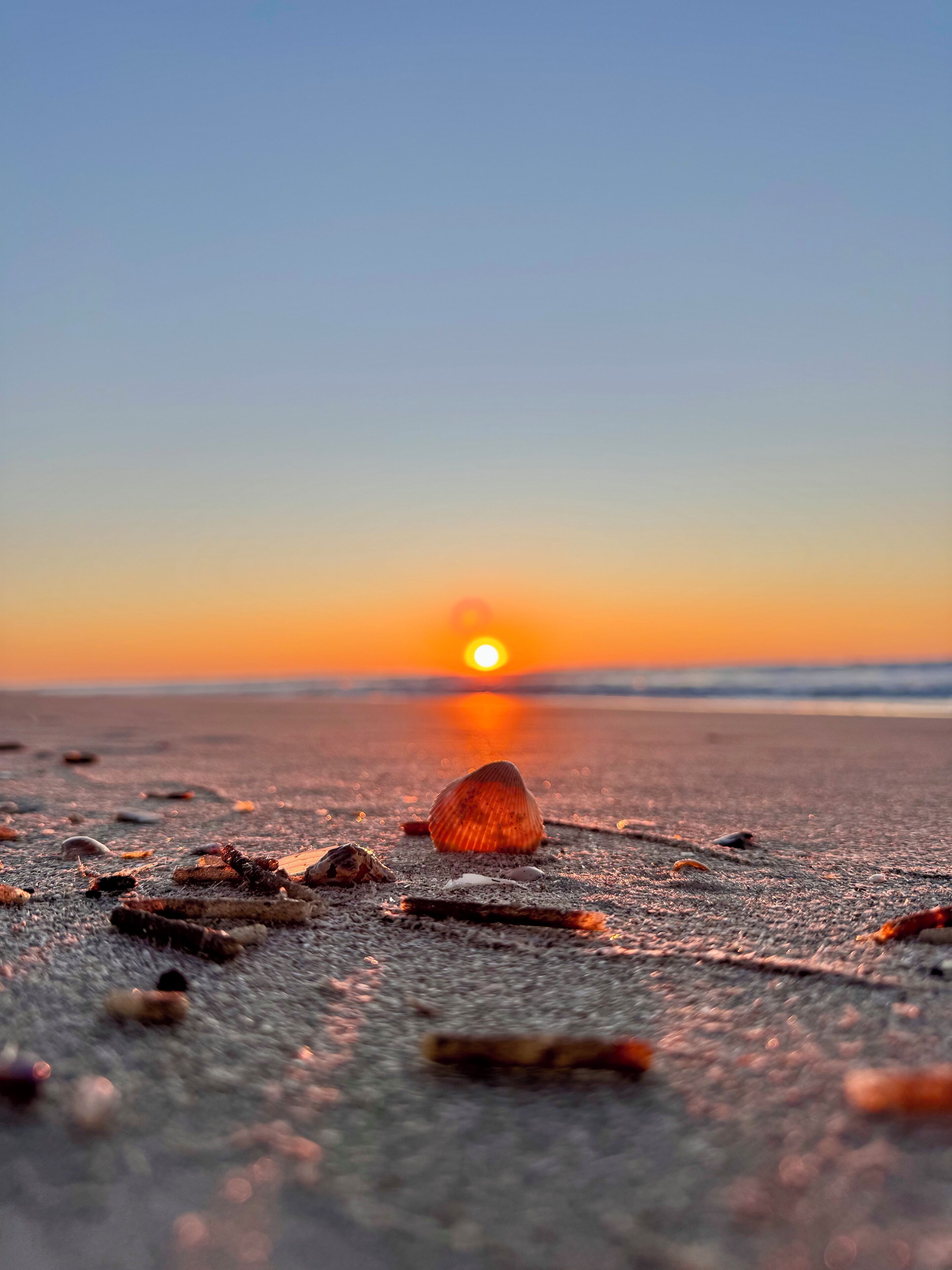 サンラウンジャー