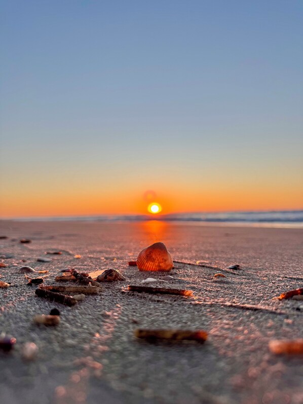 サンラウンジャー