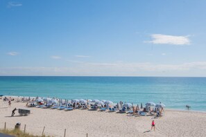 Beach nearby - Charming Beach Studio | Breathtaking Views & 2 Full Beds (Hallandale Beach)