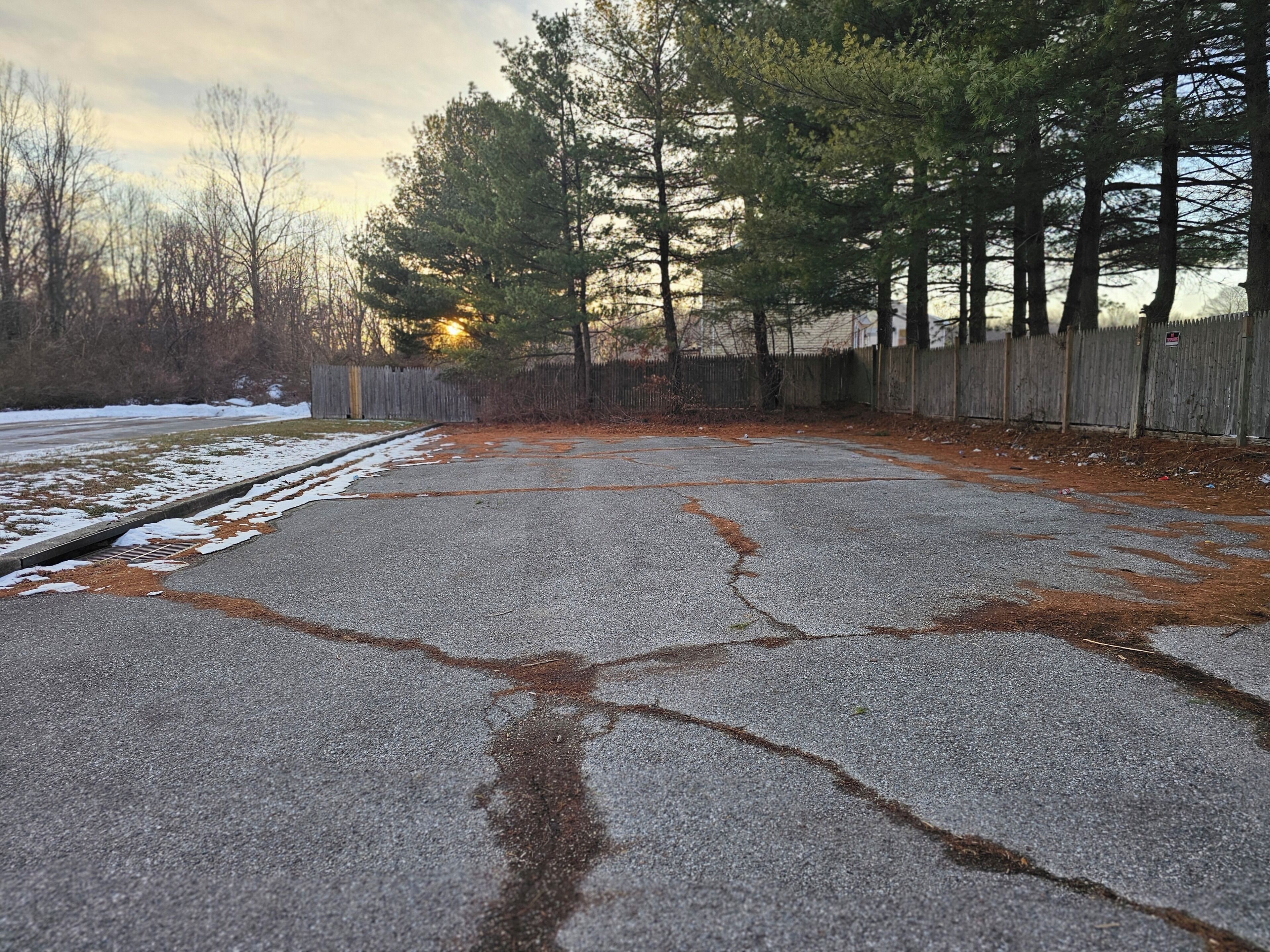 A cracked asphalt driveway with a wooden fence and trees in the background.