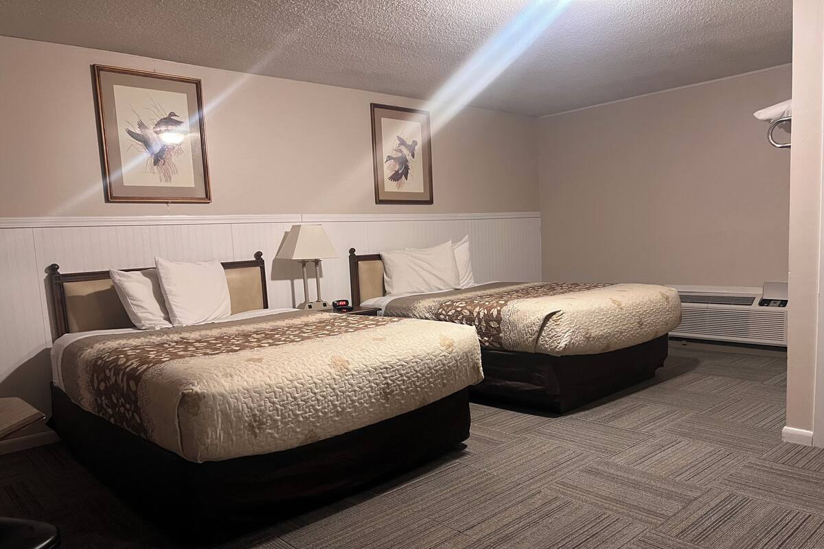 Desk, iron/ironing board (on request), WiFi (free), bed sheets