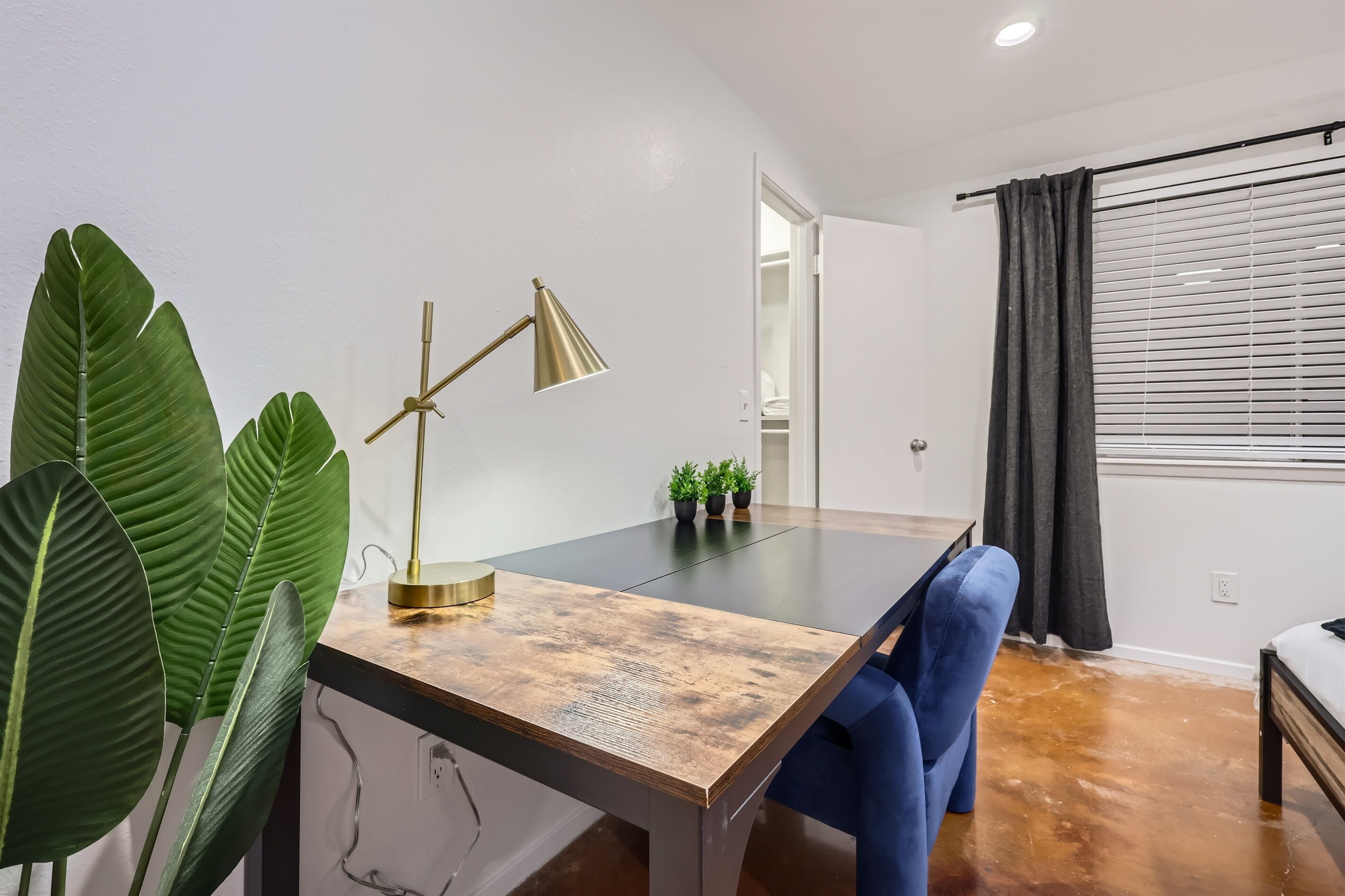 Une pièce moderne avec une table à manger en bois, une chaise bleue, une lampe de bureau dorée et de grandes plantes vertes.