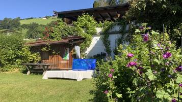 House | Property grounds