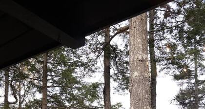 Architechural Abode Lakehouse near Acadia