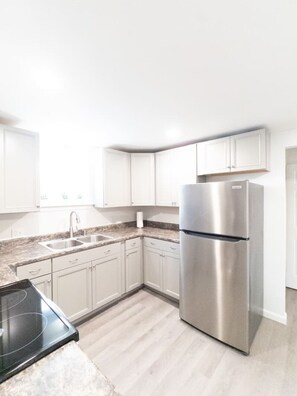 Eco-friendly cleaning products - Sleek & Contemporary 2BR Getaway (Fort Fairfield)