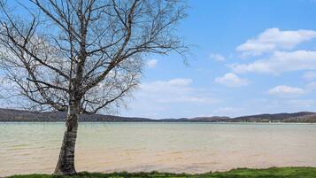 Un árbol junto a un lago, con cielo despejado.