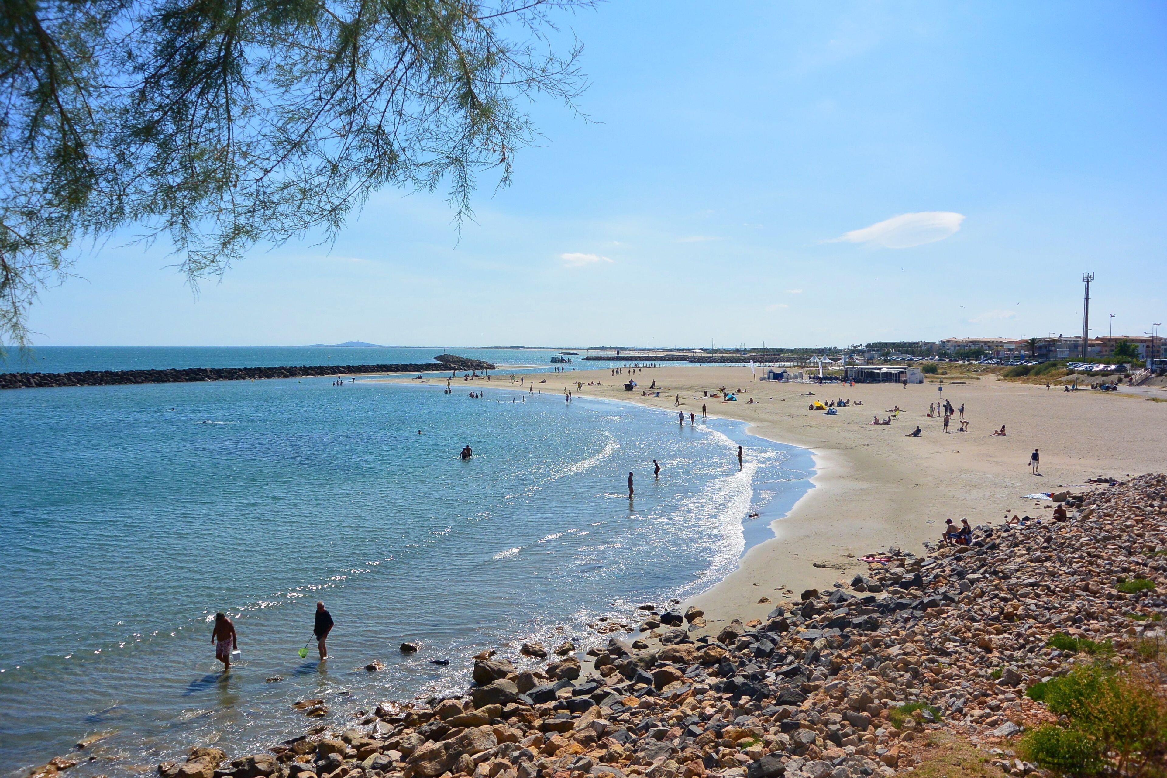 Lettini da mare