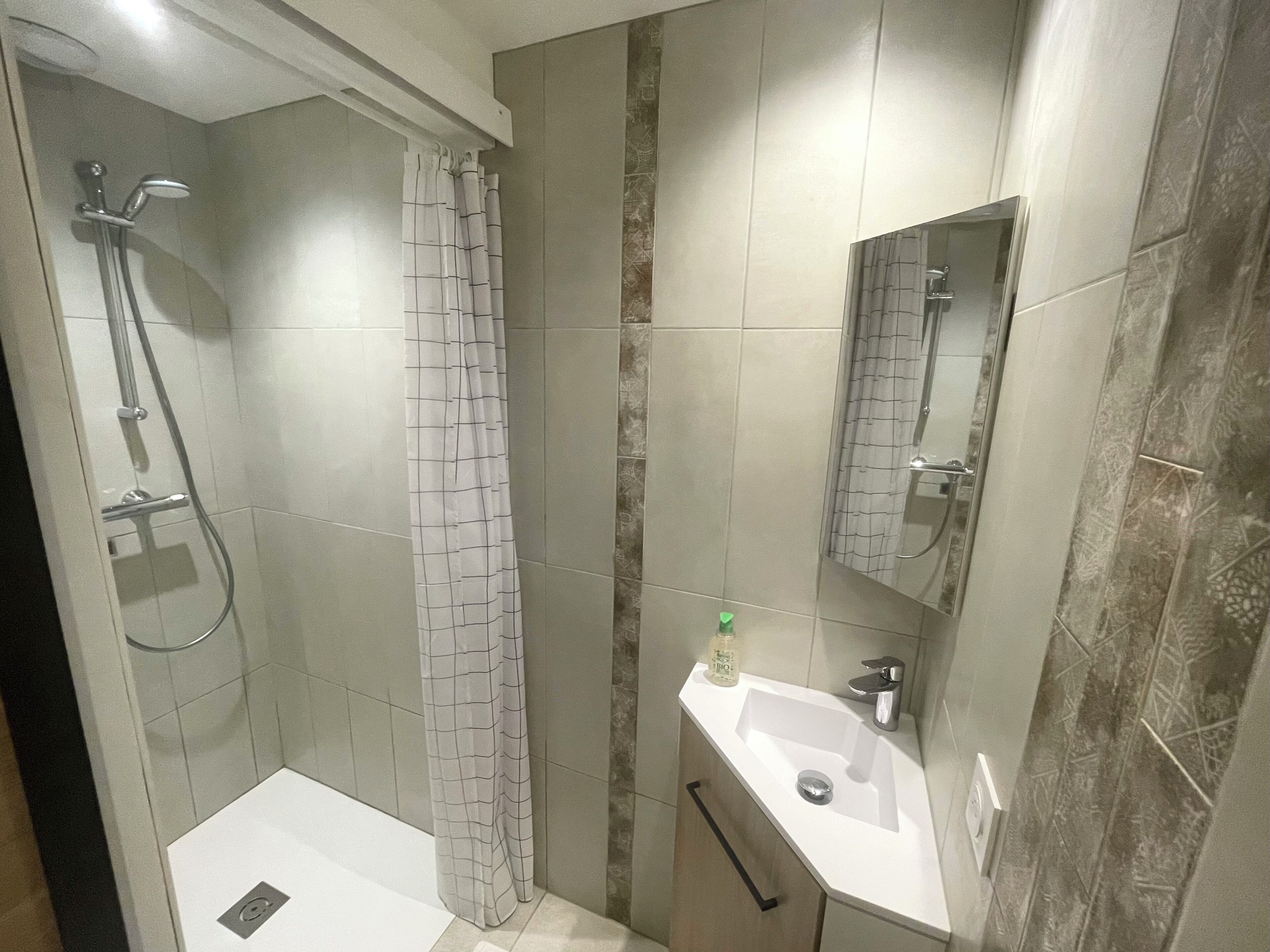 Une salle de bain avec une douche, un lavabo et un miroir.
